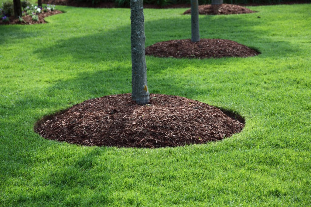 Mulch Installation Long Island